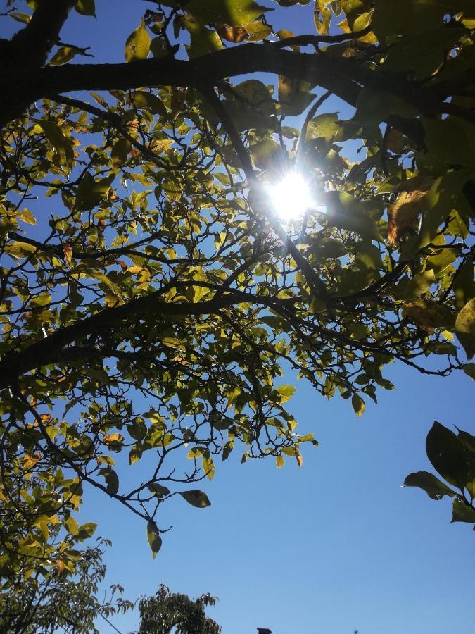 La Stella Delle Alpi Hotel Vico Canavese Bagian luar foto