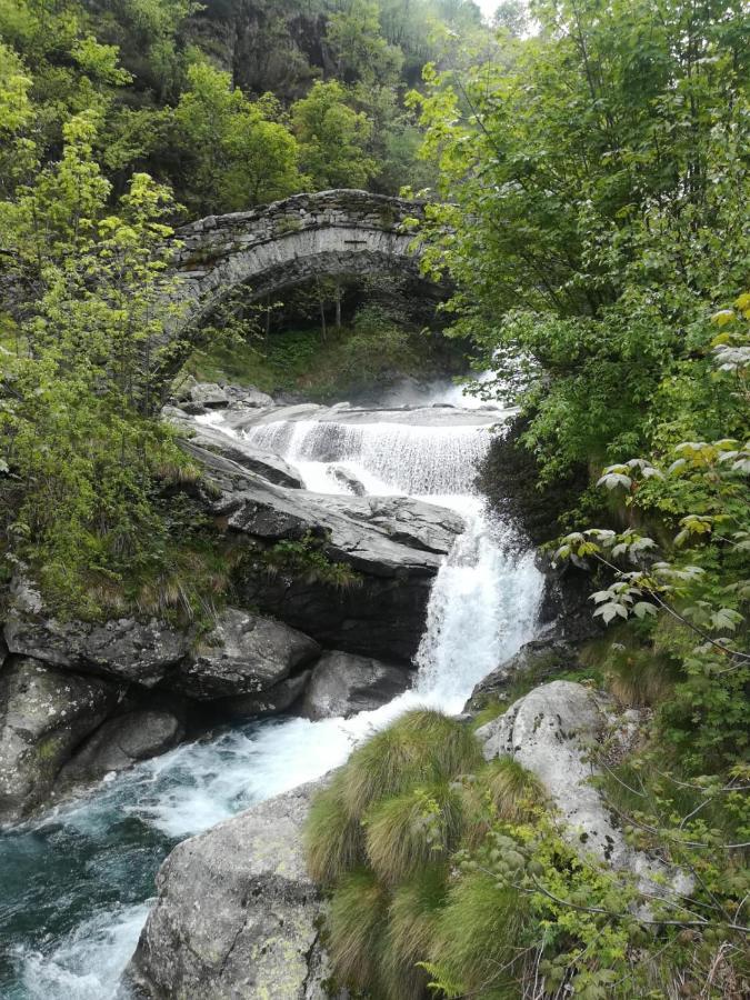 La Stella Delle Alpi Hotel Vico Canavese Bagian luar foto