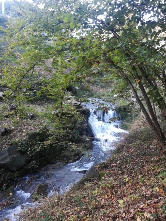 La Stella Delle Alpi Hotel Vico Canavese Bagian luar foto